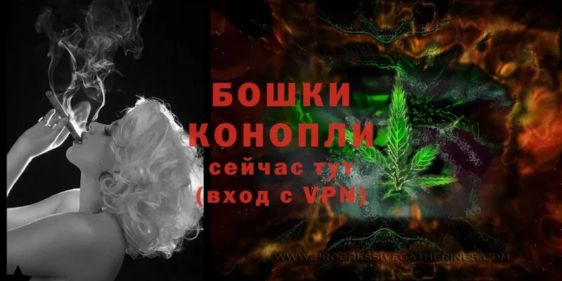 МАРИХУАНА SATIVA & INDICA  Будённовск 